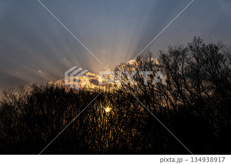 東京都立桜が丘公園の林のシルエットと夕日の光芒の写真 134938917