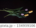 静寂に咲くチューリップの内部｜白と黒の世界 134939106