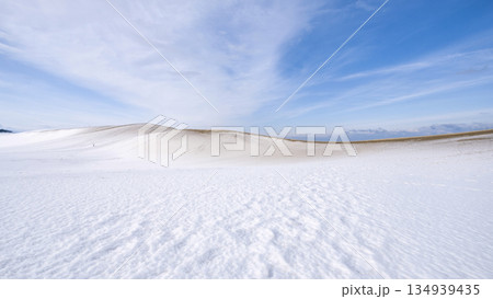 鳥取砂丘の雪景色  134939435