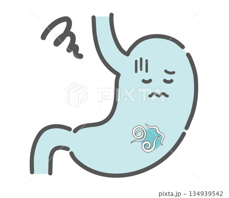 胃アニサキス症のイラスト（胃の中で暴れる寄生虫） 134939542