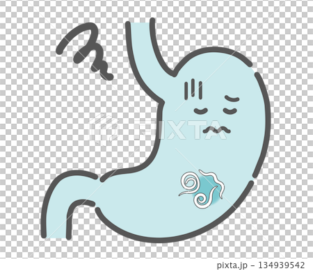 胃アニサキス症のイラスト（胃の中で暴れる寄生虫） 134939542