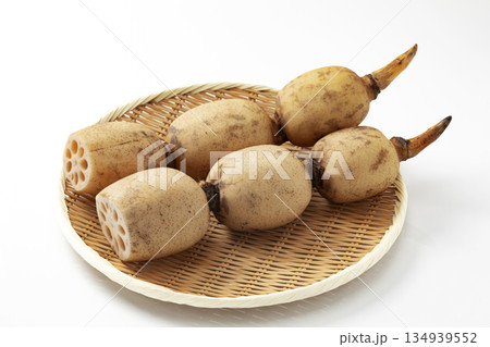 白バックの盆ざるに置いた蓮根 134939552