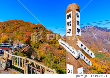 栃木県 日光市 明智平の紅葉 栃木県 日光市 明智平の紅葉 134939671