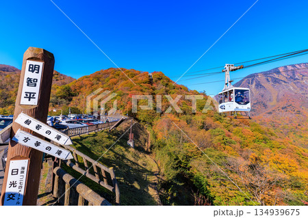 栃木県　日光市　明智平の紅葉 134939675