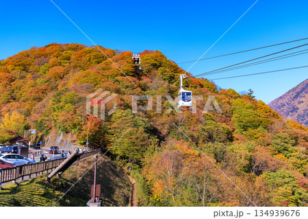 栃木県 日光市 明智平の紅葉 栃木県 日光市 明智平の紅葉 134939676