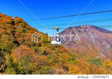 栃木県　日光市　明智平の紅葉 134939677
