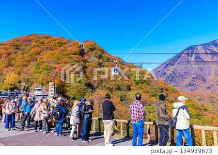 栃木県　日光市　明智平の紅葉 134939678