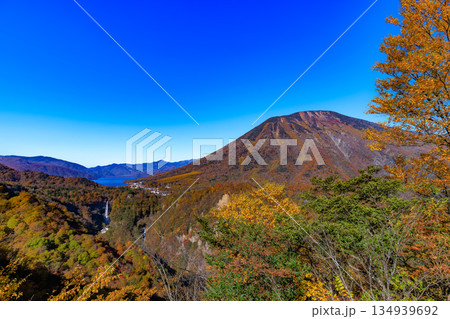 栃木県　日光市　紅葉の明智平から見た華厳滝と中禅寺湖と男体山 134939692