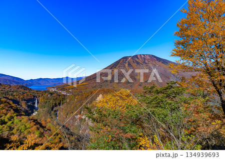 栃木県 日光市 紅葉の明智平から見た華厳滝と中禅寺湖と男体山 栃木県 日光市 紅葉の明智平から見た華厳滝と中禅寺湖と男体山 134939693