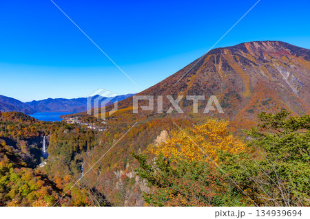 栃木県　日光市　紅葉の明智平から見た華厳滝と中禅寺湖と男体山 134939694