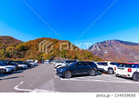 栃木県 日光市 明智平の紅葉 栃木県 日光市 明智平の紅葉 134939698