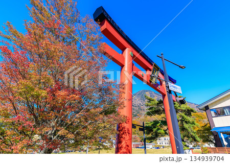 栃木県　日光市　秋の男体山と二荒山神社 大鳥居 134939704