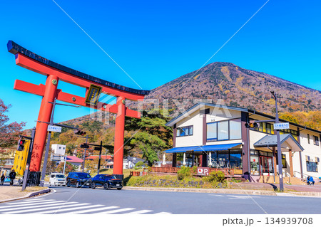 栃木県 日光市 秋の男体山と二荒山神社 大鳥居 栃木県 日光市 秋の男体山と二荒山神社 大鳥居 134939708