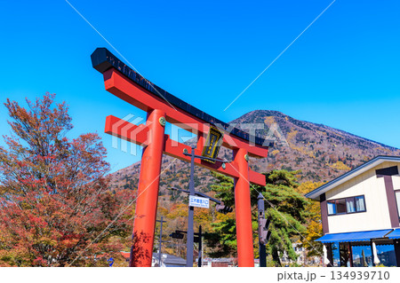 栃木県 日光市 秋の男体山と二荒山神社 大鳥居 栃木県 日光市 秋の男体山と二荒山神社 大鳥居 134939710