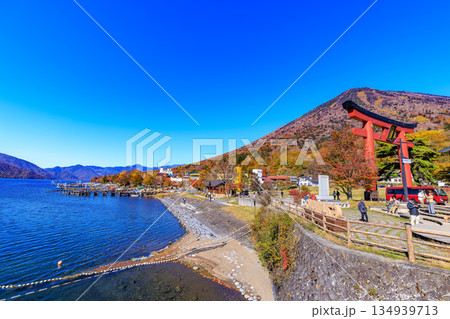 栃木県 日光市 秋の中禅寺湖 栃木県 日光市 秋の中禅寺湖 134939713