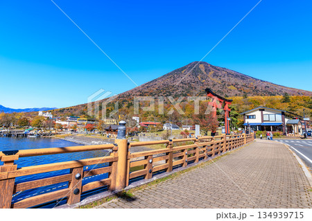 栃木県　日光市　秋の中禅寺湖と男体山 134939715