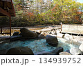 日本の秘湯　芽登温泉 134939752