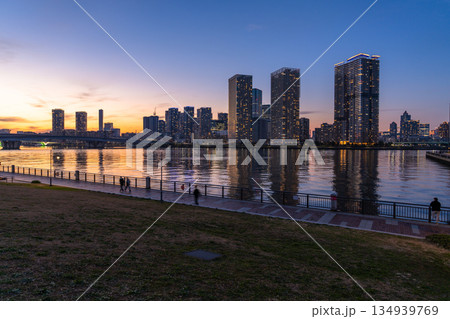 《東京都》豊洲ぐるり公園の夜景・晴海のタワーマンションをのぞむ 《東京都》豊洲ぐるり公園の夜景・晴海のタワーマンションをのぞむ 134939769