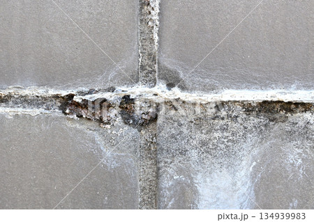 クローズアップ玄関タイルのエフロレッセンス(白華現象) クローズアップ玄関タイルのエフロレッセンス(白華現象) 134939983