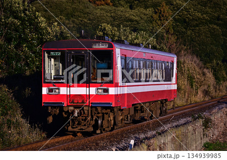 ストレート区間を走る鹿島臨海鉄道6000形気動車 134939985