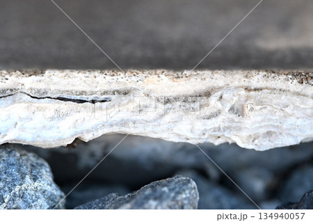 クローズアップ玄関タイルのエフロレッセンス（白華現象） 134940057