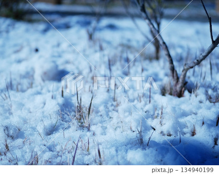雪の積もる地面 雪の積もる地面 134940199