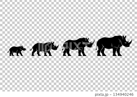 サイの成長過程 134940246