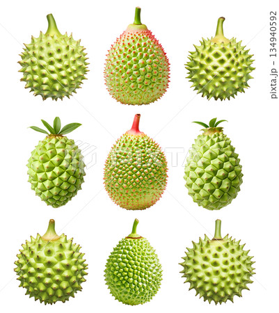 Set of green exotic spiky fruit Atemoya with a stem isolated on white transparent background. Set of green exotic spiky fruit Atemoya with a stem isolated on white transparent background. 134940592