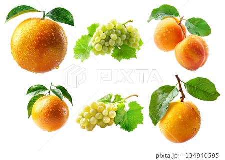 Set of apricot, grapefruit and red grapes hanging on the vine with green leaves isolated on white transparent background 134940595