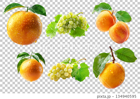 Set of apricot, grapefruit and red grapes hanging on the vine with green leaves isolated on white transparent background 134940595