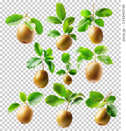 Set of kiwi fruits with vibrant green flesh and brown fuzzy skin, isolated on white transparent background. 134940596