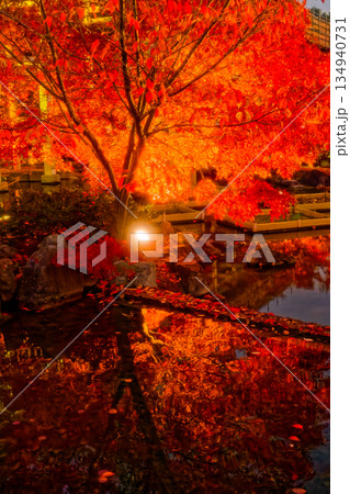 けいはんな記念公園の紅葉ライトアップ 134940731