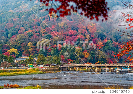 紅葉の嵐山 紅葉の嵐山 134940740