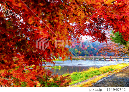 紅葉の嵐山 134940742