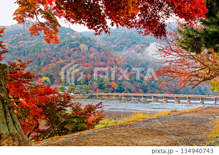 紅葉の嵐山 134940743