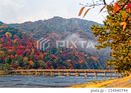 紅葉の嵐山 134940744