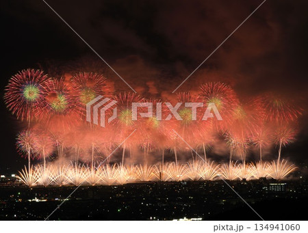 長岡花火2025 フェニックス 134941060