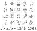 Set of 20 minimalist linear beauty surgery icons. Vector monoline symbols of cosmetic procedures, plastic surgery, and aesthetic medicine on white background. 134941363