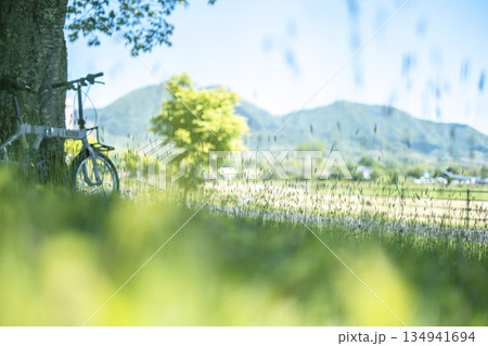 新緑・初夏のサイクリングイメージ (蒜山高原) 新緑・初夏のサイクリングイメージ (蒜山高原) 134941694
