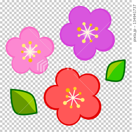 春天盛開的梅花插圖 春天盛開的梅花插圖 134941737