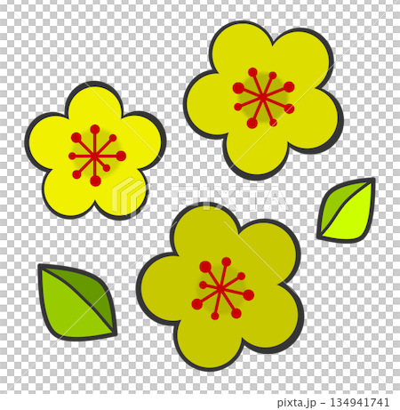 春天盛開的梅花插圖 134941741