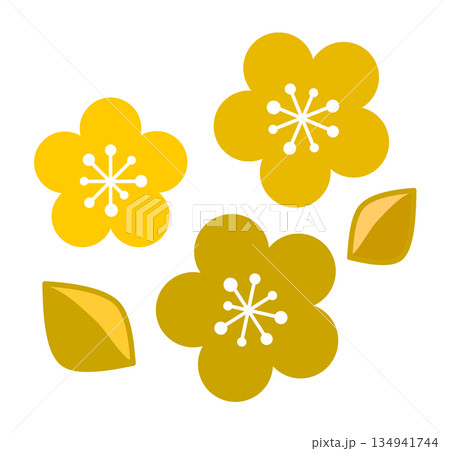 春が旬で綺麗に咲く梅の花の素材イラスト 134941744