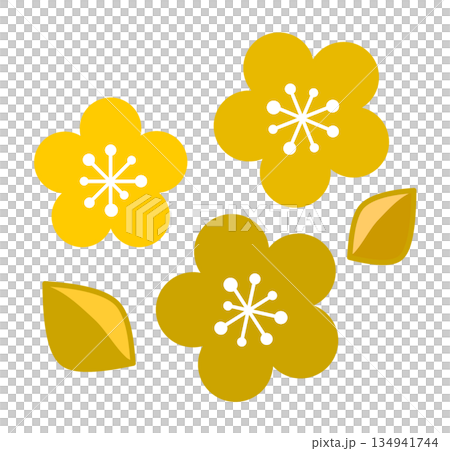 Illustration of plum blossoms blooming beautifully in spring 134941744