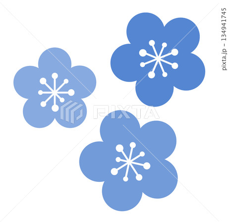 春が旬で綺麗に咲く梅の花の素材イラスト 春が旬で綺麗に咲く梅の花の素材イラスト 134941745