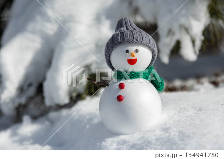 新雪と雪だるま 新雪と雪だるま 134941780