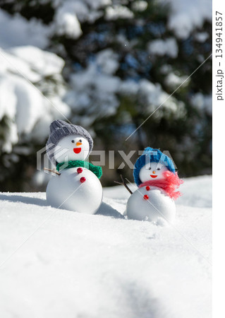 新雪とペアの雪だるま 新雪とペアの雪だるま 134941857