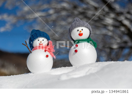 新雪とペアの雪だるま 新雪とペアの雪だるま 134941861