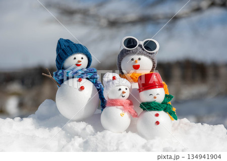 新雪と雪だるまファミリー 134941904