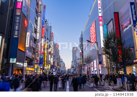 《東京都》新宿東口歩行者天国・休日の繁華街 134941936