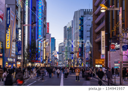 《東京都》新宿東口歩行者天国・休日の繁華街 134941937